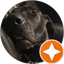 Joseph DiGiovanni profile picture